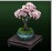 桜盆栽